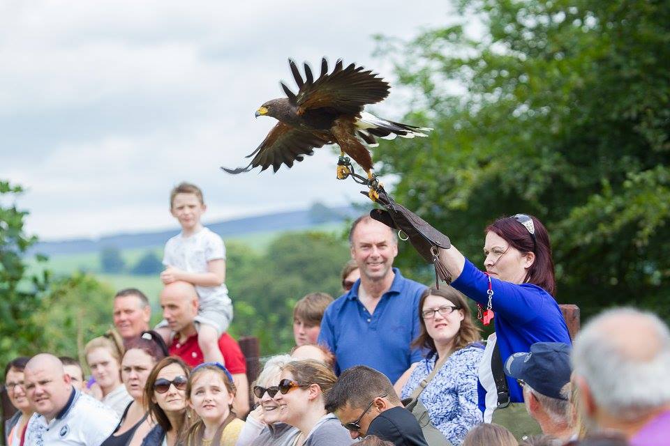 Flying displays